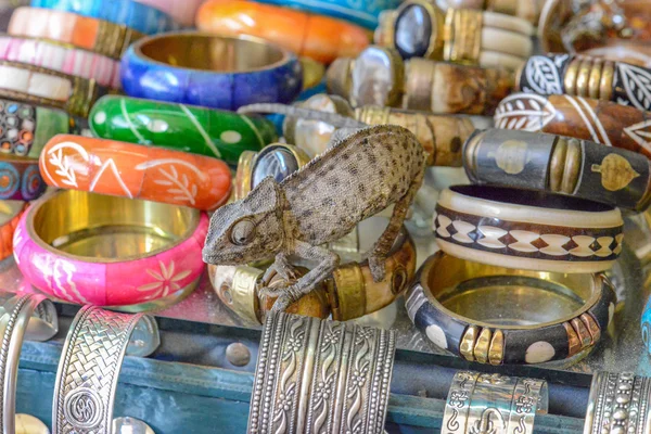 Caméléon assis sur des bijoux dans les rues de tuni — Photo