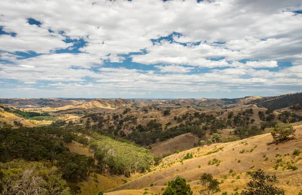 High Country, Foresty Valley, Victoria, Austrália — Fotografia de Stock