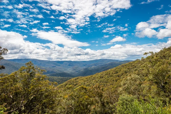 Wysokiej kraju, dolinie leśnego, Victoria, Australia — Zdjęcie stockowe