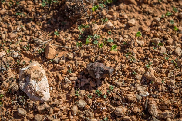 Mundrabilla Meteorite, Llanura de Nullarbor, Australia Occidental — Foto de Stock