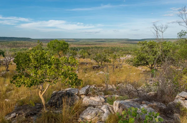 Paisagem na Gib River Road — Fotografia de Stock