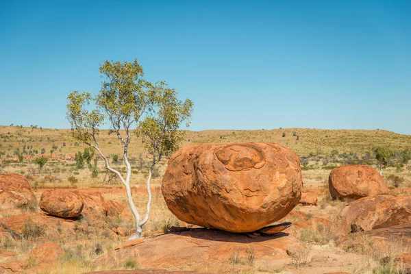 Şeytan Marbels, Kuzey toprakları