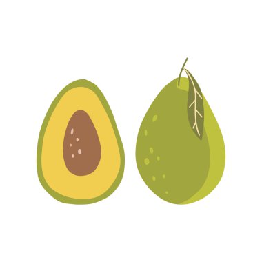 Beyaz arka planda izole edilmiş avokado ile modern illüstrasyon. Botanik sanat baskısı. Vektör illüstrasyonu.
