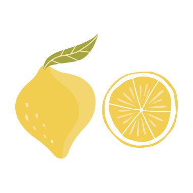 Beyaz arka planda limon izole modern illüstrasyon. Botanik sanat baskısı. Vektör illüstrasyonu.