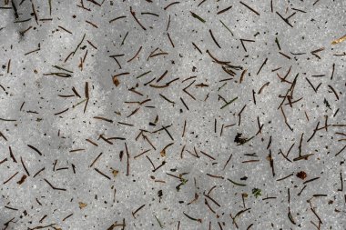 Karda düşen iğneler, doğal arka plan.