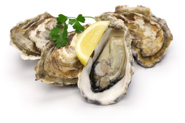 fresh oysters isolated on white background clipart