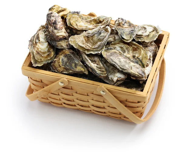 Verse oesters in houten mand — Stockfoto