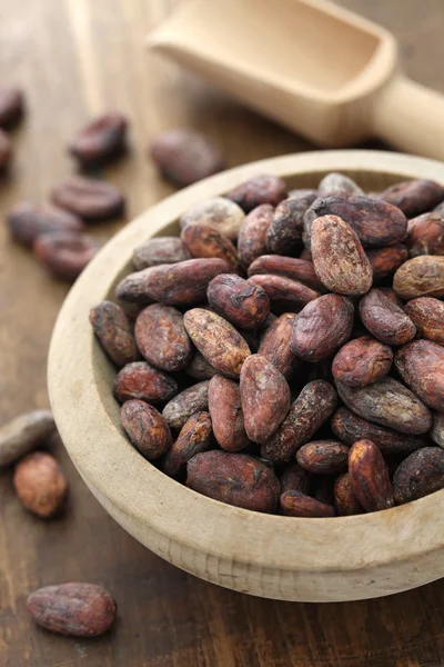 Granos de cacao crudos — Foto de Stock