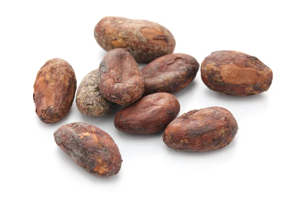 Rauwe cacao stukjes cacaobonen — Stockfoto