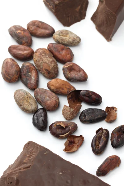 Judías de cacao y chocolate — Foto de Stock