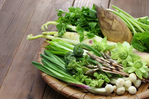 三才、日本の食用野生植物野菜 — ストック写真
