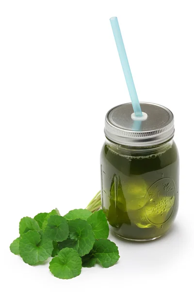 Bebida de gotu kola casera, jugo de pennywort — Foto de Stock