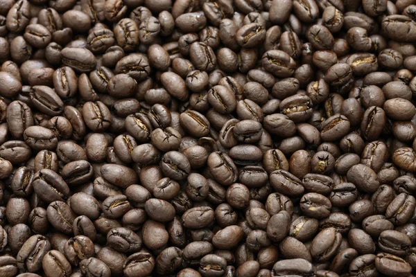 Torrado grãos de café peaberry — Fotografia de Stock