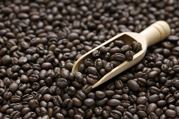 Torrado grãos de café peaberry e colher — Fotografia de Stock