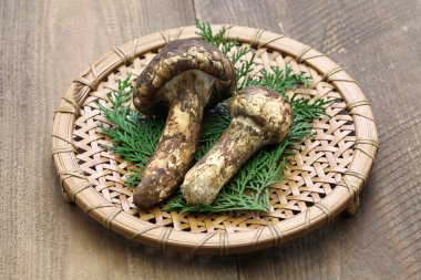 Matsutake mantar, Japon gıda