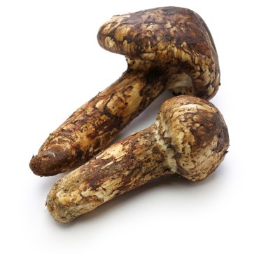 Matsutake mantar, Japon gıda