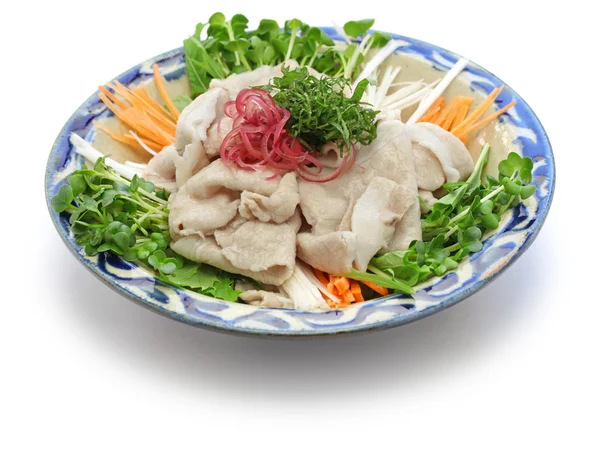 Rei shabu, insalata di maiale fredda, cucina estiva giapponese — Foto Stock