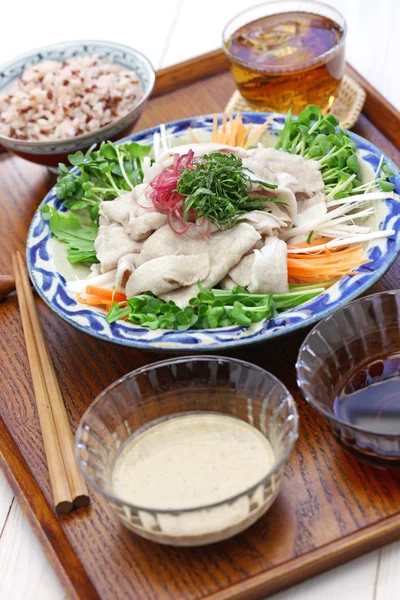 Rei shabu, zimna wieprzowina sałatki, dania kuchni japońskiej lato — Zdjęcie stockowe