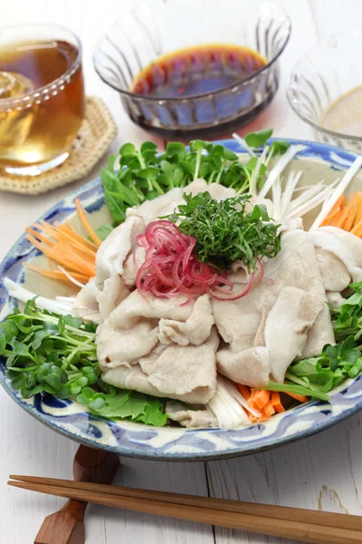 Rei shabu, ensalada de cerdo fría, cocina japonesa de verano — Foto de Stock