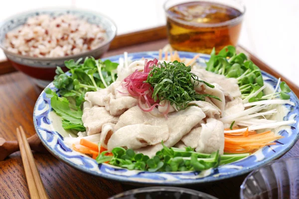 Soğuk domuz salata, Japon yaz mutfağı — Stok fotoğraf