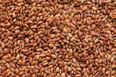 çiğ Bhutan kırmızı pirinç