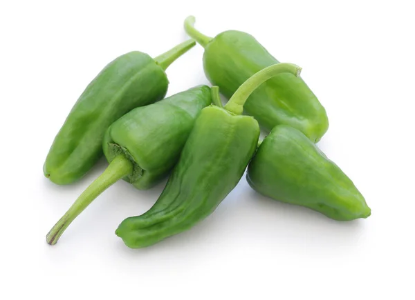 Pimentos Padron Espanhóis Crus Pimientos Padron — Fotografia de Stock