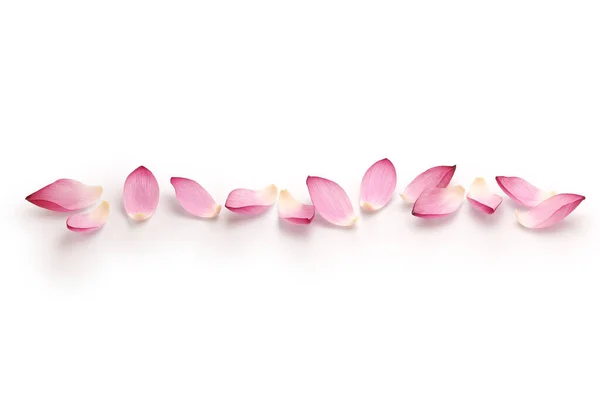 Lotus Flower Petals Line Design — Stock Photo, Image