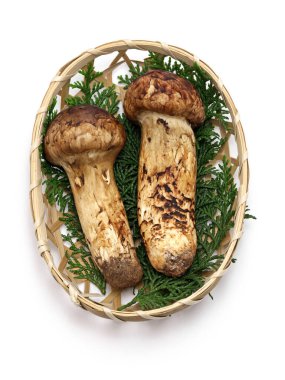 Matsutake mantarları beyaz arka planda izole edilmiş bambu sepeti üzerinde