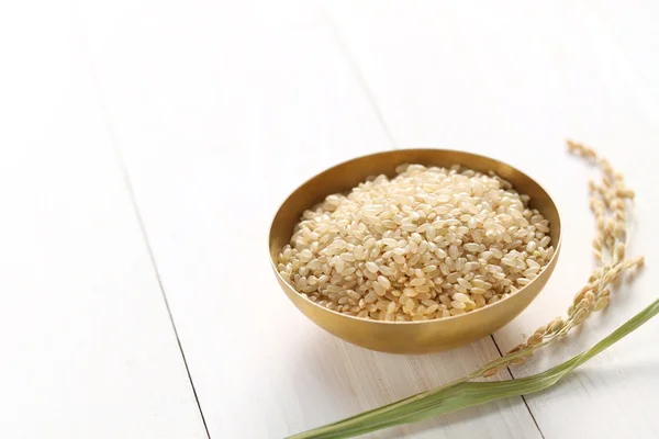 Barna rizs rizs füllel — Stock Fotó