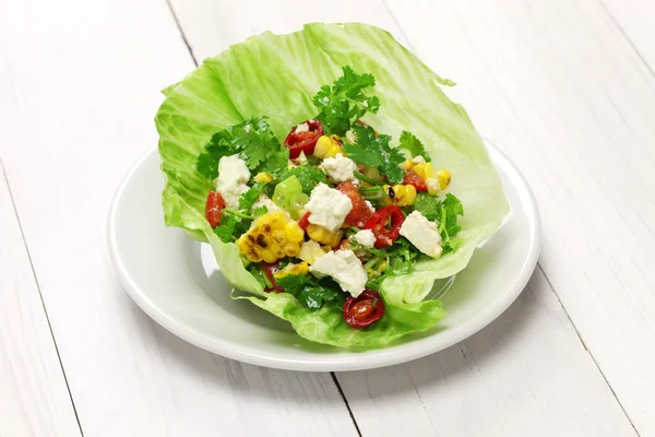 Vegetarische Salatwickel — Stockfoto