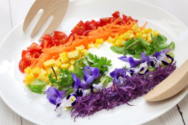 Rainbow salad clipart