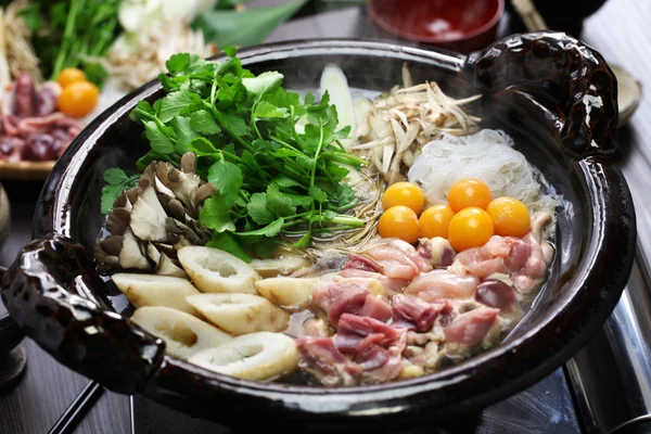 일본 닭 냄비 요리 — 스톡 사진