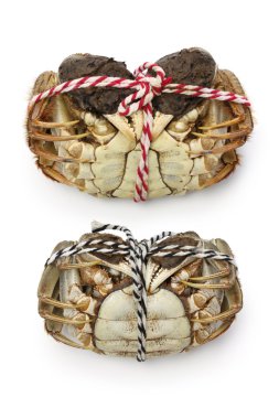 Raw shanghai hairy crabs(male and female) ,ventral side clipart