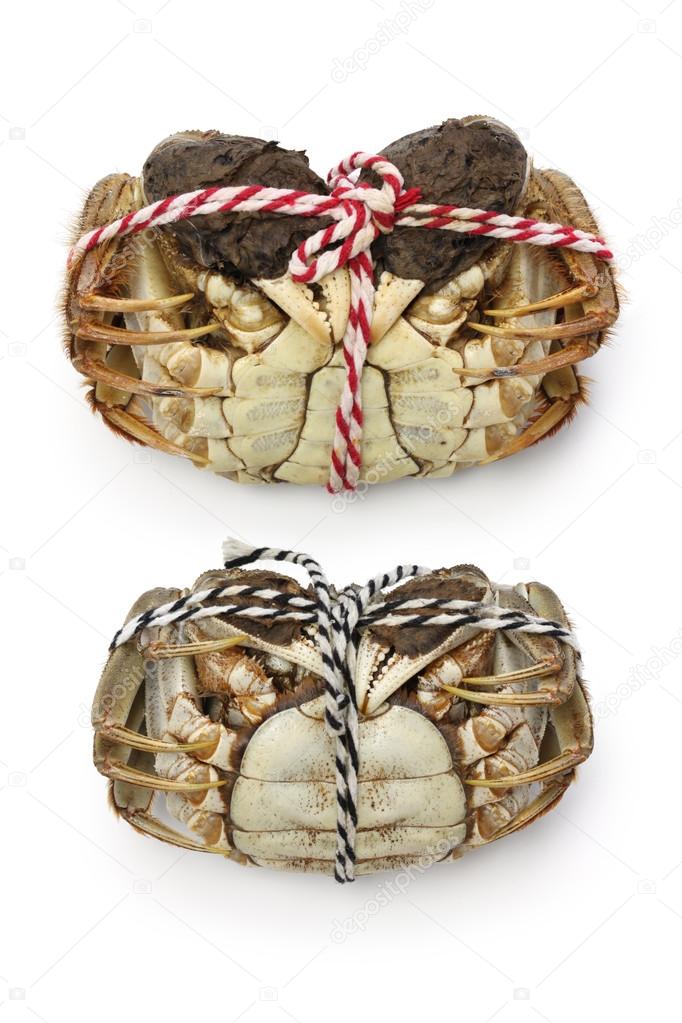 Raw shanghai hairy crabs(male and female) ,ventral side