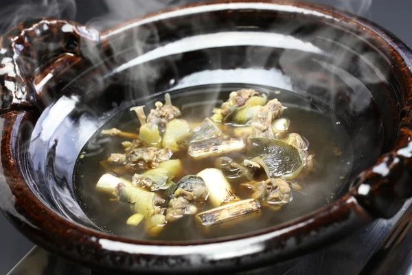 Suplemento nabe, japonés softshell tortuga caliente olla guiso —  Fotos de Stock