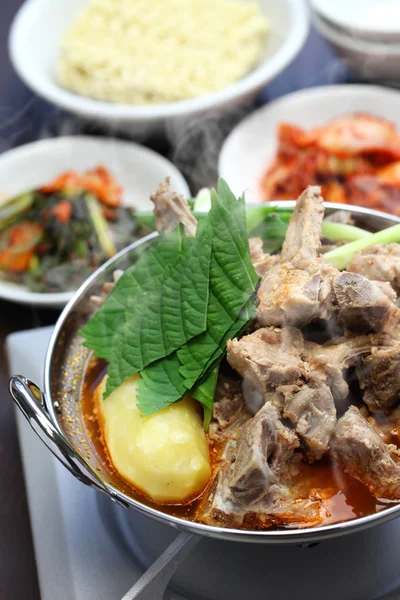 Gamjatang, domuz kemik ve patates çorbası, Kore mutfağı — Stok fotoğraf