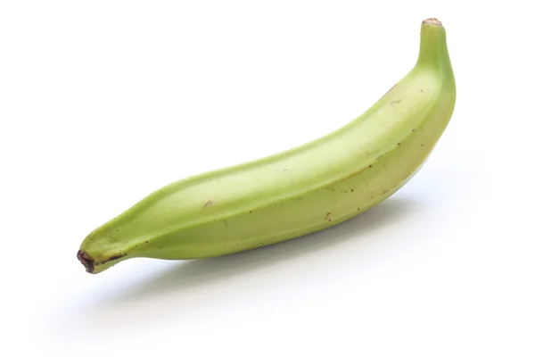 Jitrocel banán — Stock fotografie