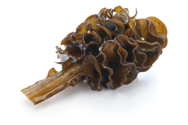 Japanska tång, mekabu, wakame rot — Stockfoto