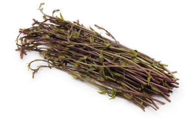 Akebia quinata, ham ilaç