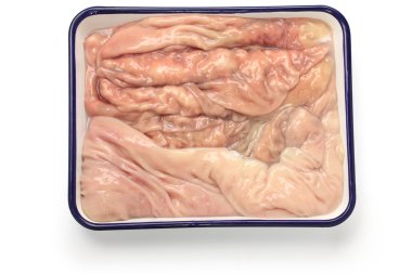 abomasum, rennet bag, reed tripe, the fourth stomach of a cow clipart