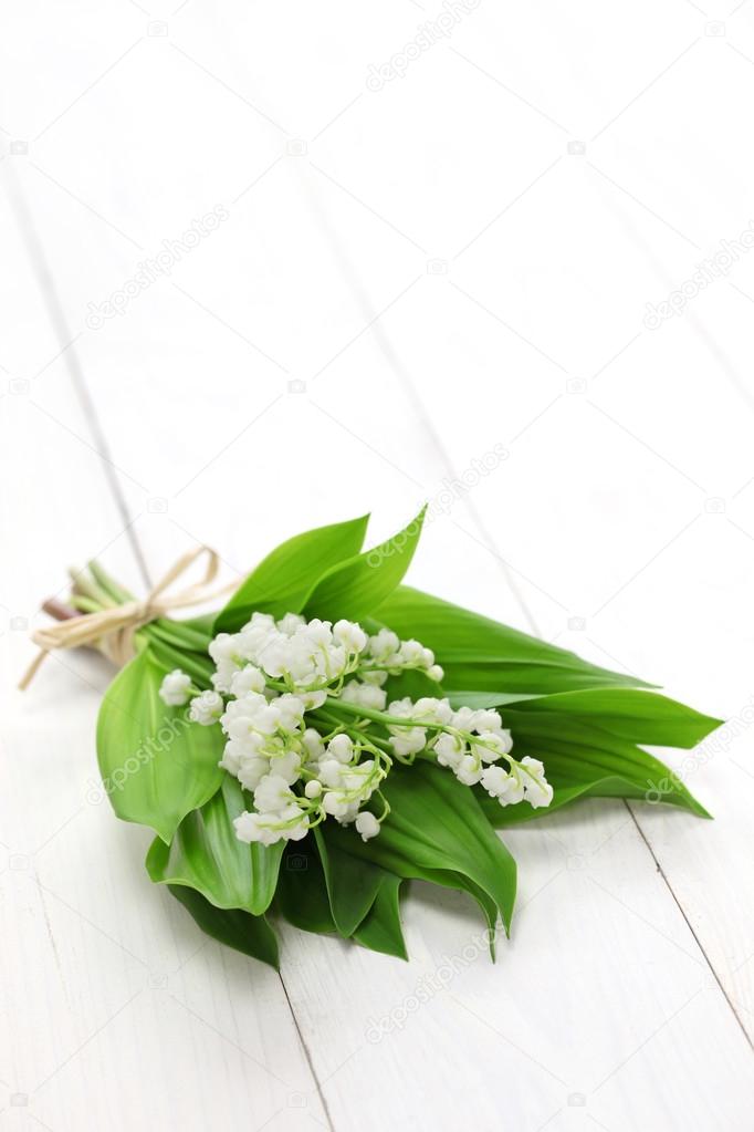 lily of the valley posy isolated on white wooden background