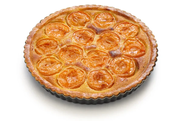 Apricot tart — Stock Photo, Image