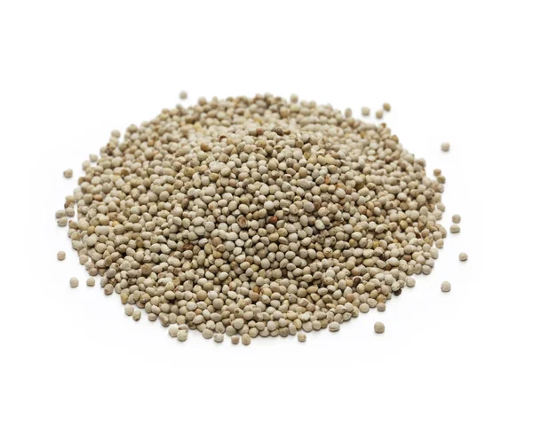 Perilla seed — Stock Photo, Image