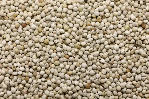 Перилла семена — стоковое фото