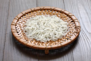 icefishes, noodlefishes