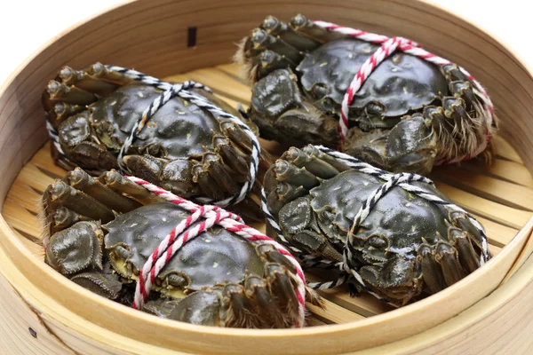Raw chinese mitten crab, shanghai hairy crab — Zdjęcie stockowe