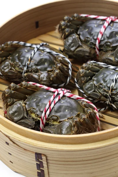 Raw chinese mitten crab, shanghai hairy crab — Stockfoto