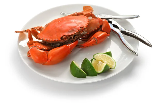 Steamed mud crab, male — Stock Photo, Image