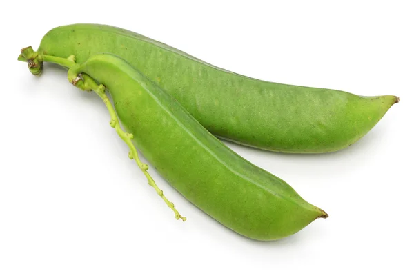 Zwaard bonen geïsoleerd op witte achtergrond — Stockfoto