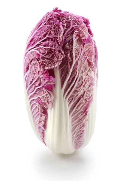 Пурпурная китайская капуста — стоковое фото
